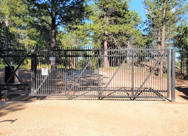 Tall vertical-bar security gates in the pines