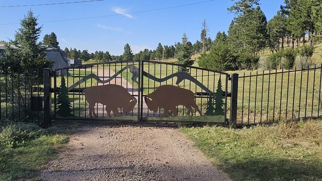 Gate with custom bison silhouette artwork
