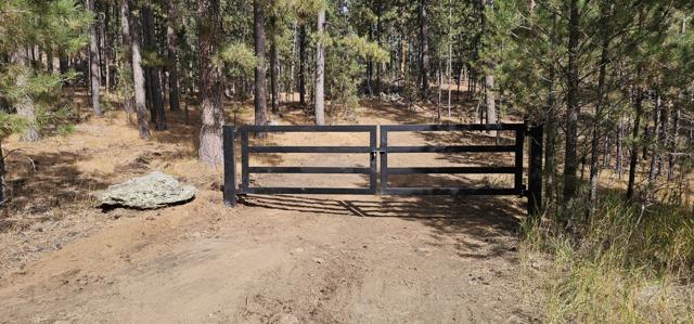 Black pipe rail gate on a forest drive