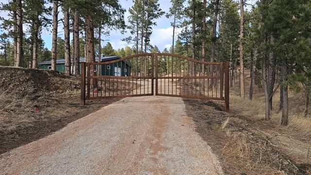 Wavy-top steel gate on a wooded drive